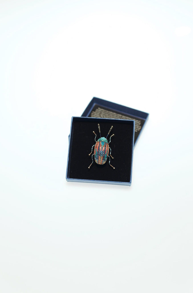 Brooch Snowdon Beetle