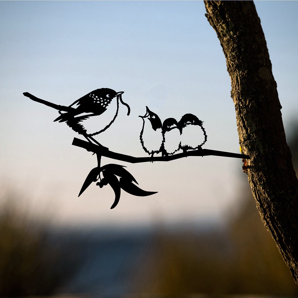 Blue Wren & Babies