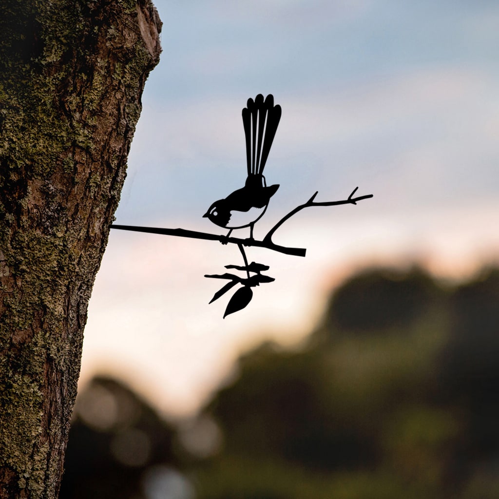 Willie Wagtail - small